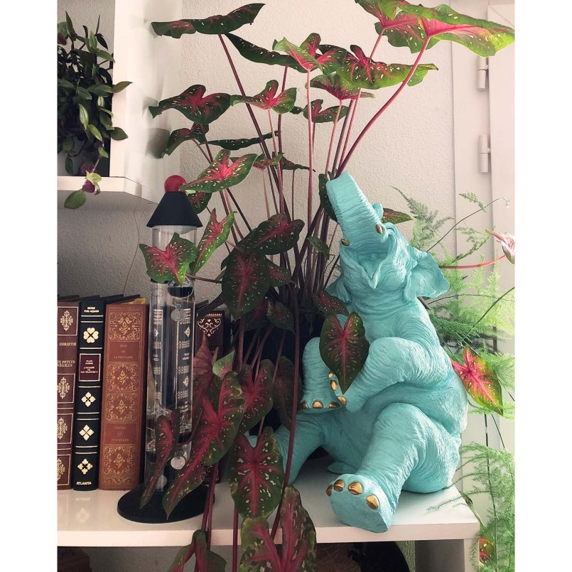 Tirelire Happy Elefant Kare Design