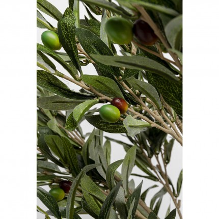 Deco Plant Olive Tree 120cm Kare Design