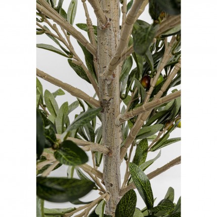 Deco Plant Olive Tree 120cm Kare Design