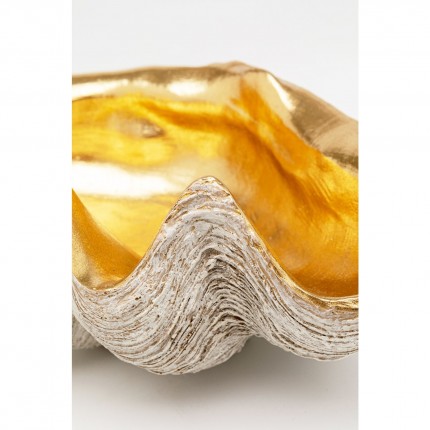 Bowl Shell Gold Kare Design