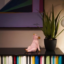 Spaarvarken - Chillax - Kare ontwerp