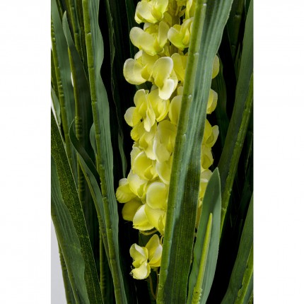 Deco Plant Rhynchostylis 150cm Kare Design