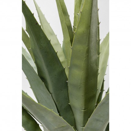 Decoratie plant Agave 85cm Kare Design