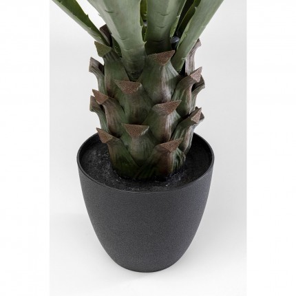 Decoratie plant Agave 85cm Kare Design