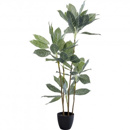 Decoratie plant Calathea 140cm Kare Design