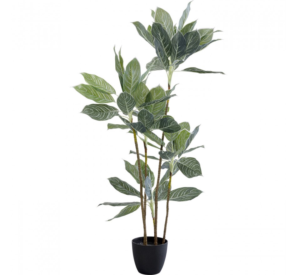 Deco plant Calathea 140cm Kare Design