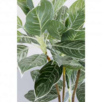 Deco plant Calathea 140cm Kare Design