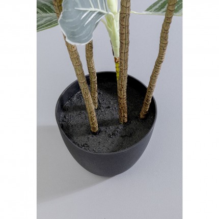 Deco plant Calathea 140cm Kare Design