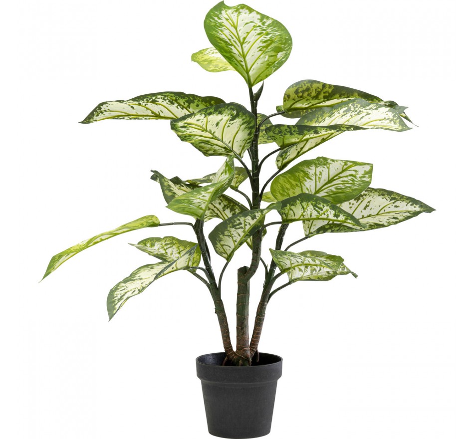 Plante décorative Dieffenbachia 100cm Kare Design