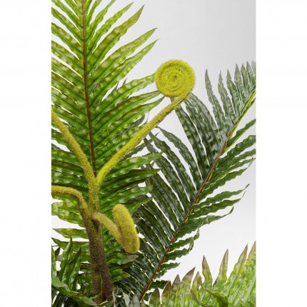 Decoratie Plant Fern 55cm Kare Design