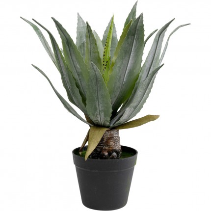 Kunstplanten agave 40cm Kare Design