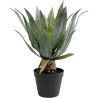 Plante décorative Agave 40cm