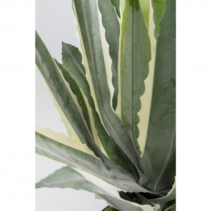 Decoratie plant agave 50cm Kare Design