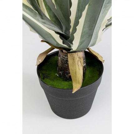Deco plant agave 50cm Kare Design
