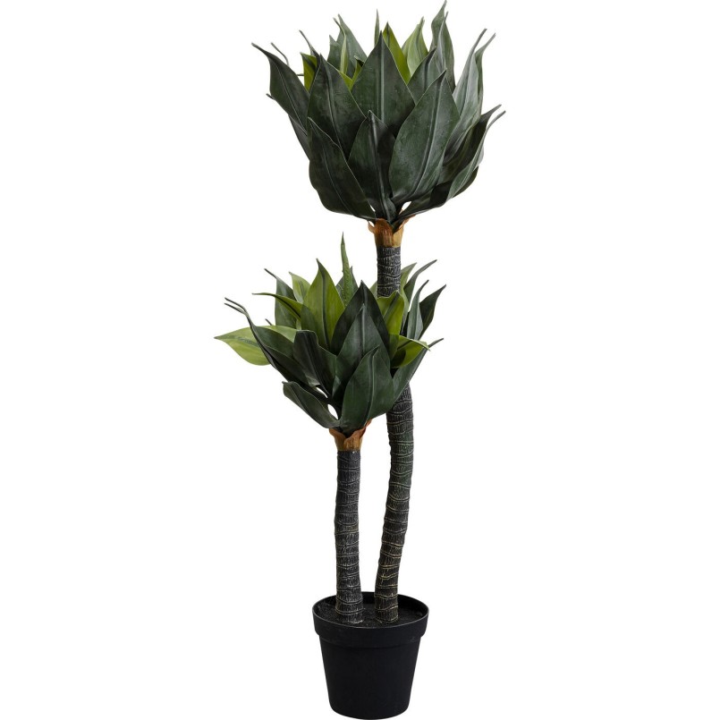 Plante décorative Agave 120cm