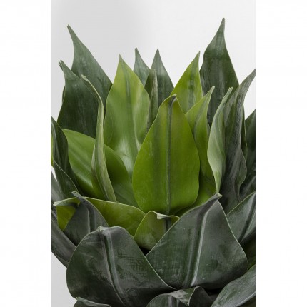 Deco plant agave 120cm Kare Design