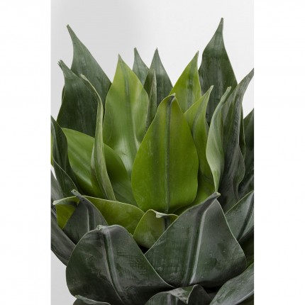 Kunstplanten agave 120cm Kare Design