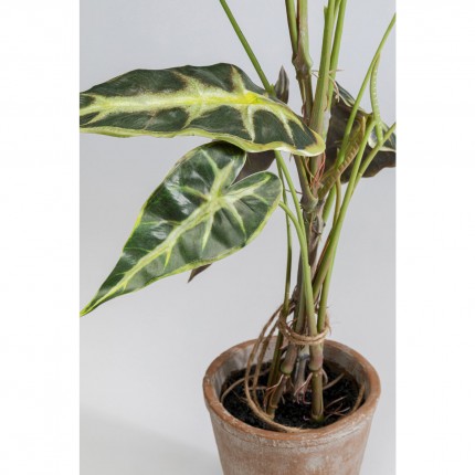 Deco plant Alocasia 80cm Kare Design