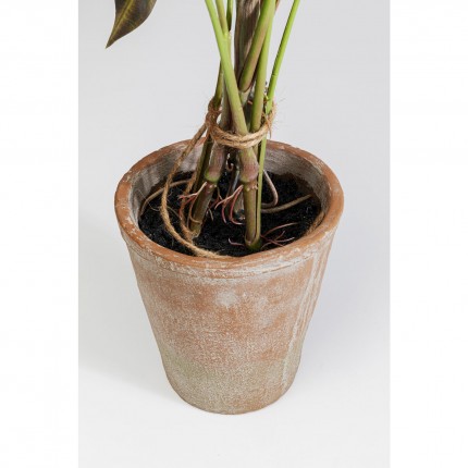 Deco plant Alocasia 80cm Kare Design