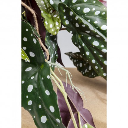 Deco plant Begonia 105cm Kare Design