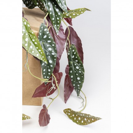 Decoratie plant Begonia 105cm Kare Design