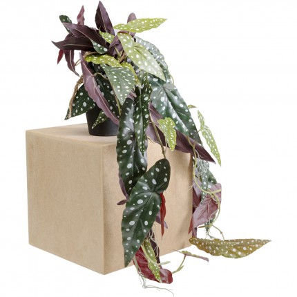 Decoratie plant Begonia 105cm Kare Design