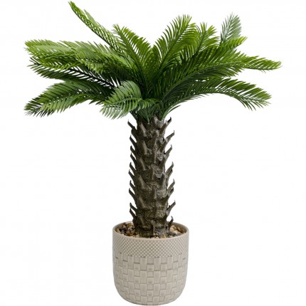 Decoratie plant Cycas 70cm Kare Design