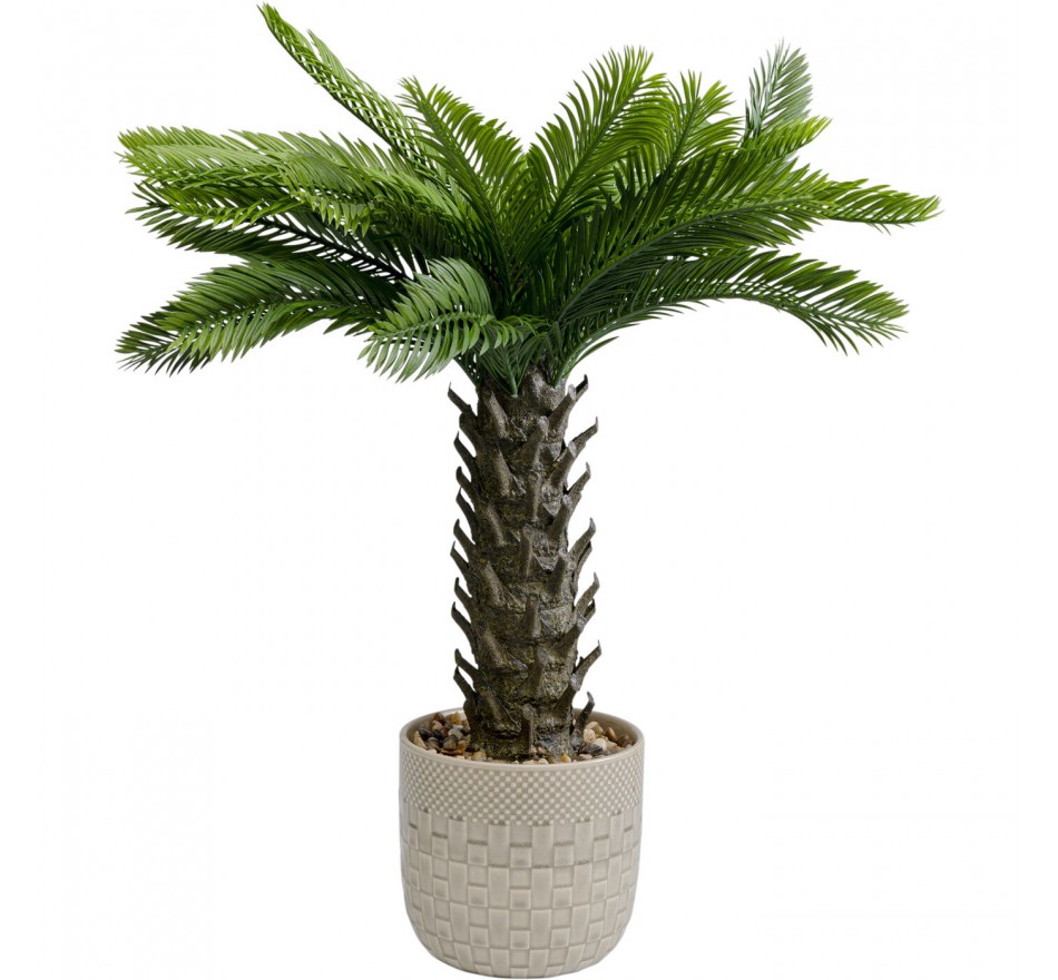 Plante décorative Cycas 70cm Kare Design