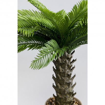 Deco plant Cycas 70cm Kare Design