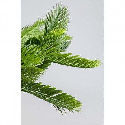 Decoratie plant Cycas 70cm Kare Design