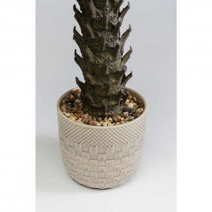 Kunstplanten Cycas 70cm Kare Design