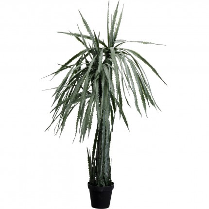 Deco plant Dracaena 155cm Kare Design
