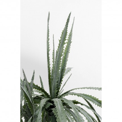 Deco plant Dracaena 155cm Kare Design