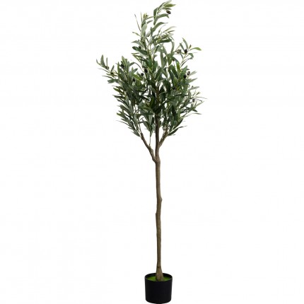 Decoratie plant olijfboom 150cm Kare Design