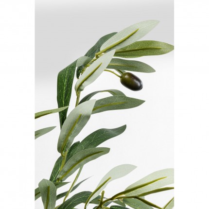 Decoratie plant olijfboom 150cm Kare Design