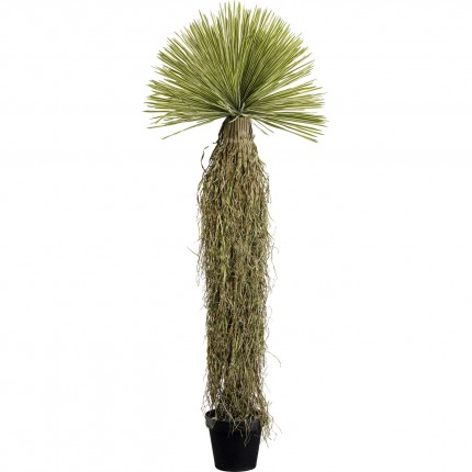 Decoratie plant Yucca 180cm Kare Design