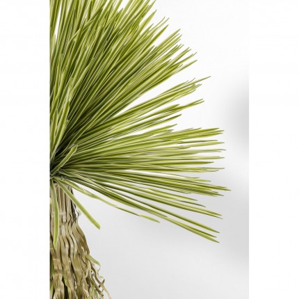 Deco plant Yucca 180cm Kare Design