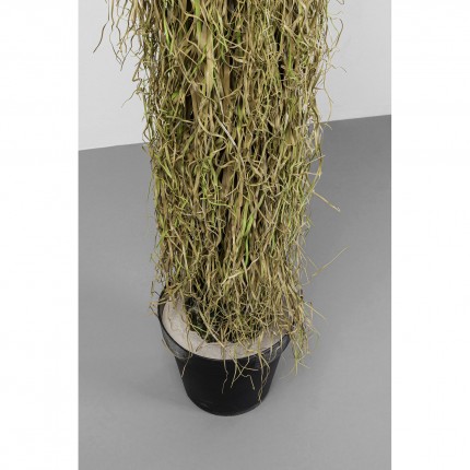Deco plant Yucca 180cm Kare Design