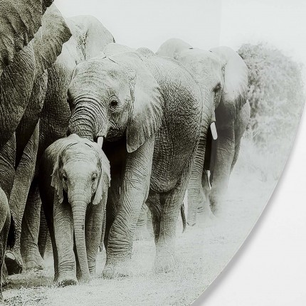 Glass picture Elephant Walk 120cm Kare Design