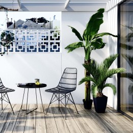 Decorative plant - Cycas - Kare Design