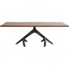 Table Roots 220x100cm Kare Design