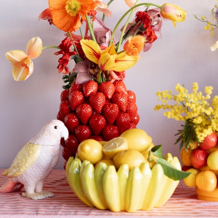 Opberger papegaai roze en geel Kare Design