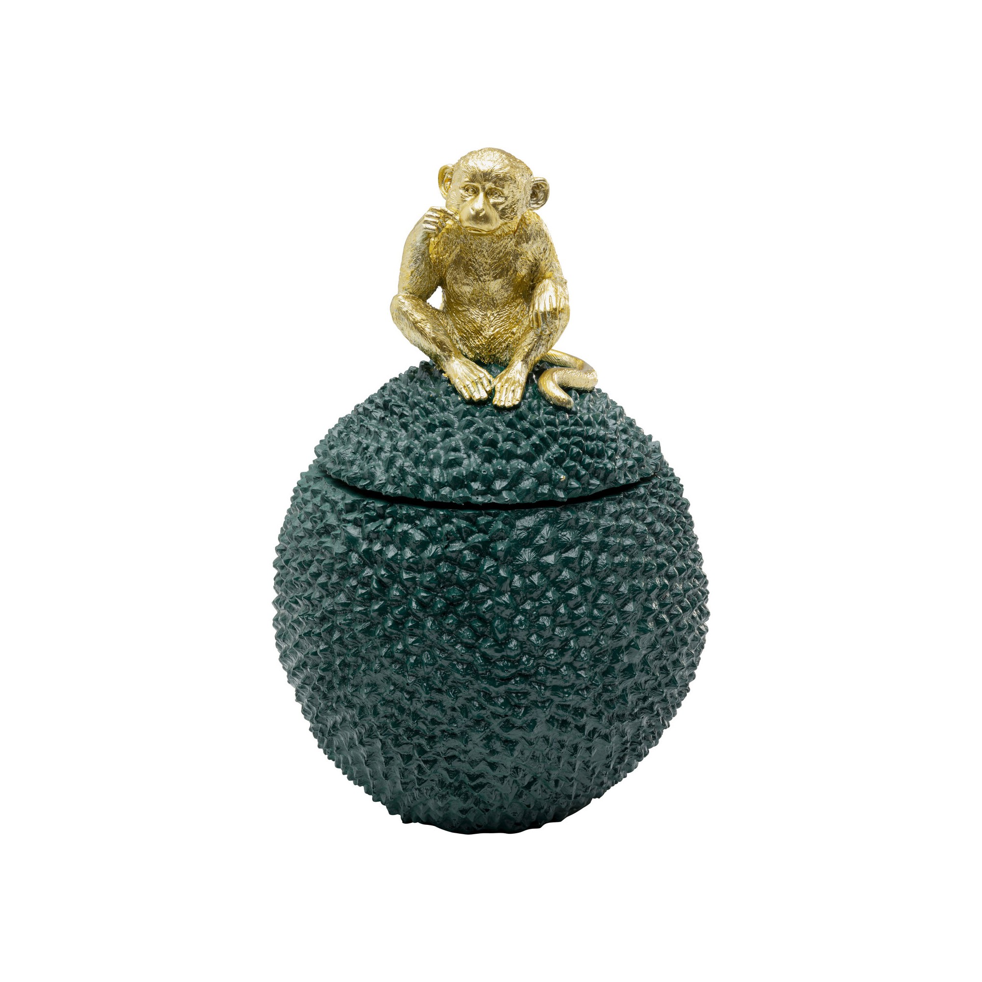 Boîte décorative Jackfruit Monkey 30cm