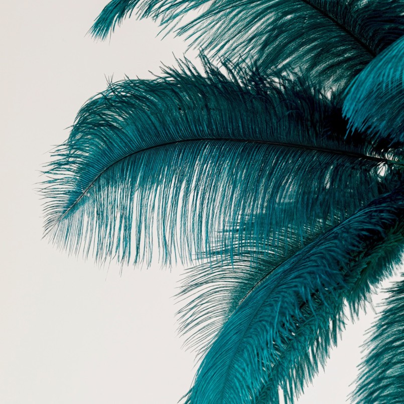 Suspension en plumes vertes - Kare Design