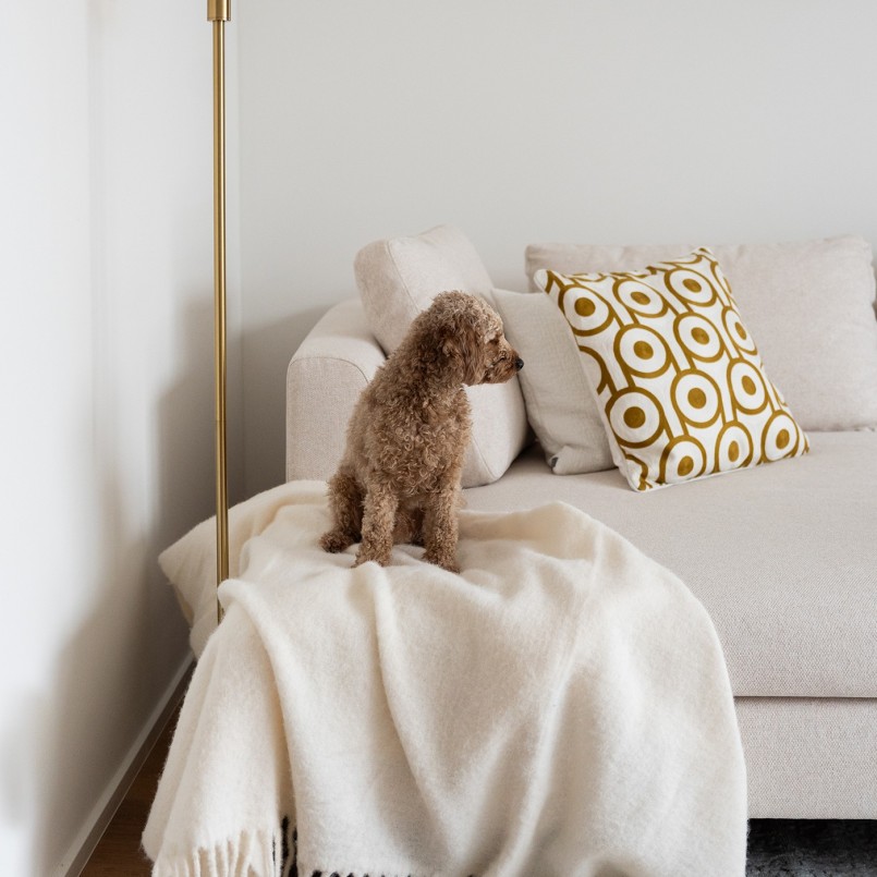Geel en wit kussen - Catena - Kare Design