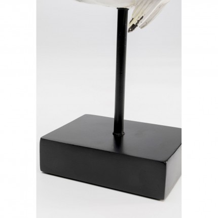 Woonaccessoires exotische vis 25cm Kare Design