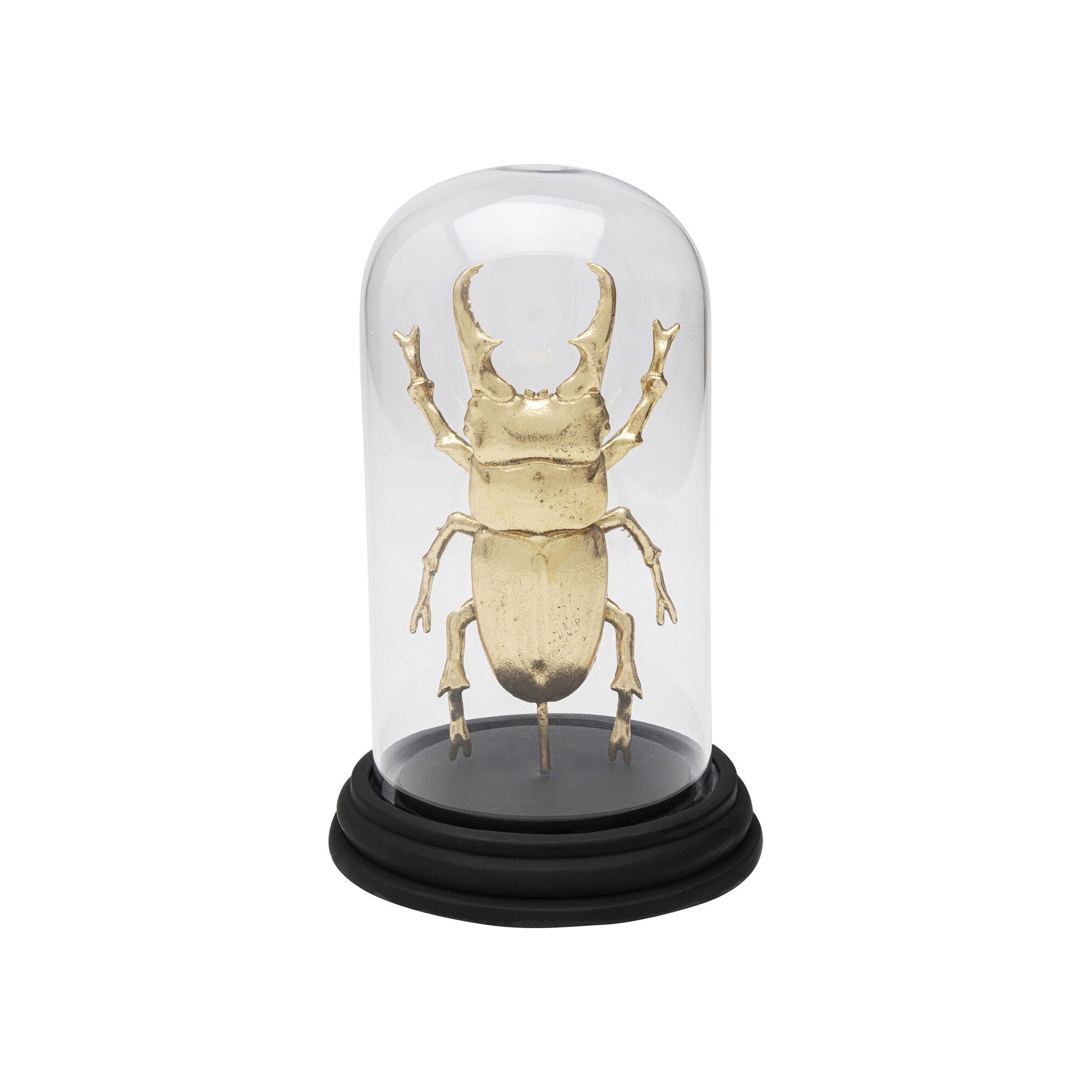 Objet décoratif Hercules Beetle 20cm