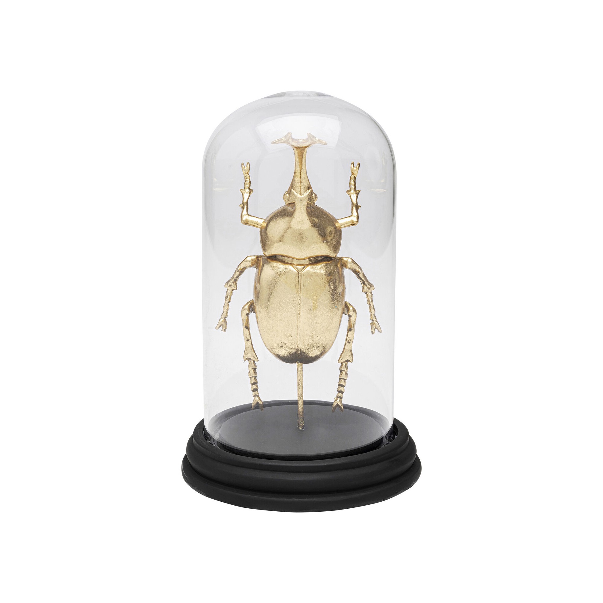 Objet décoratif Stag Beetle 20cm