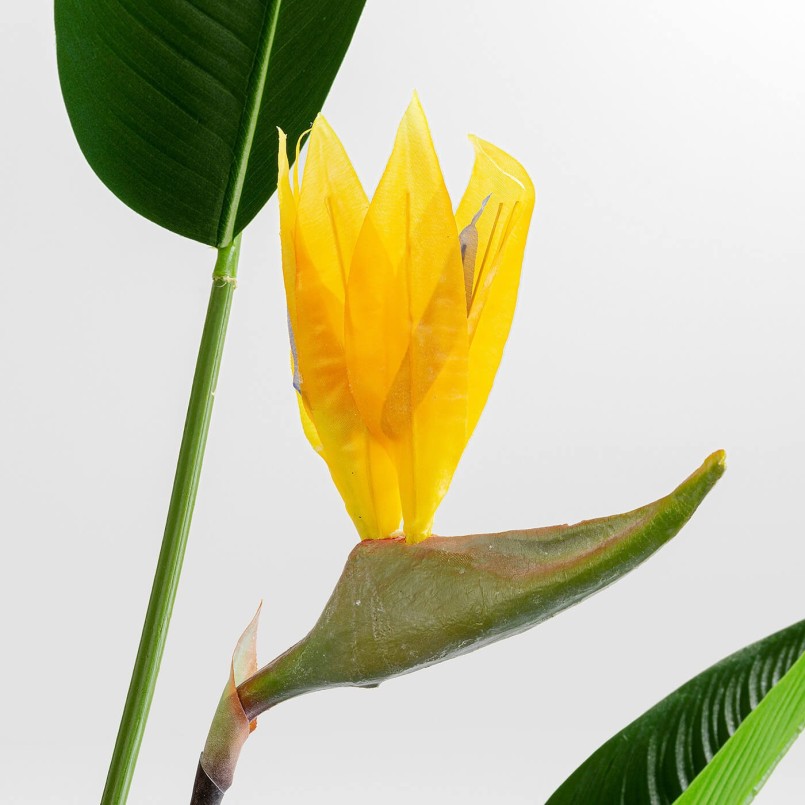 Plante décorative - Oiseau de paradis - Kare Design