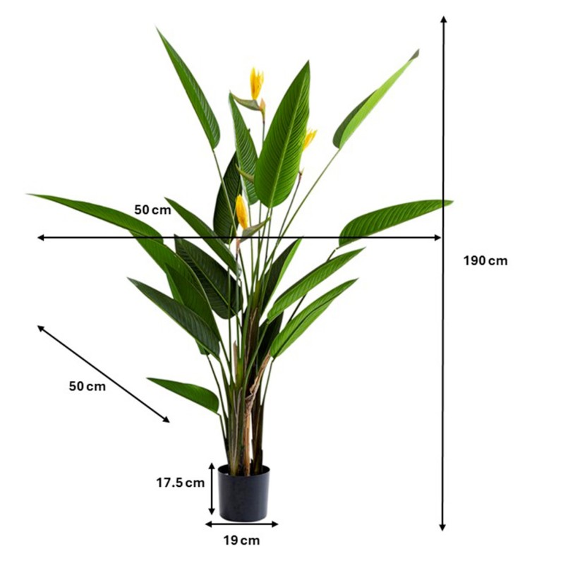 Plante décorative - Oiseau de paradis - Kare Design